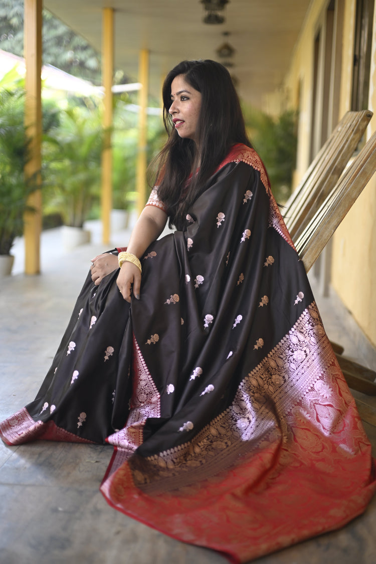 Evening Sarees
