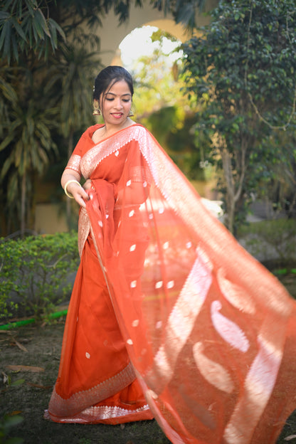 Aura Aarini